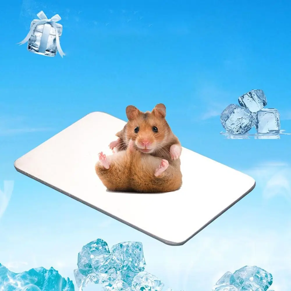 

Aluminum Pet Cooling Plate Fast-cooling Heat-dissipating Rabbit Cooling Plate Non-electric Smooth Hamster Cooling Pad