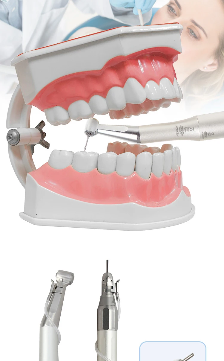 HEXION 5-teiliges Dental-Handstück-Set für hohe/niedrige Drehzahlen – LED-Schattenloses E-Generator & 3-Wassersprühfunktion – 2/4-Loch Gerade/Winkeleinsatz Luftmotor – Detail 8