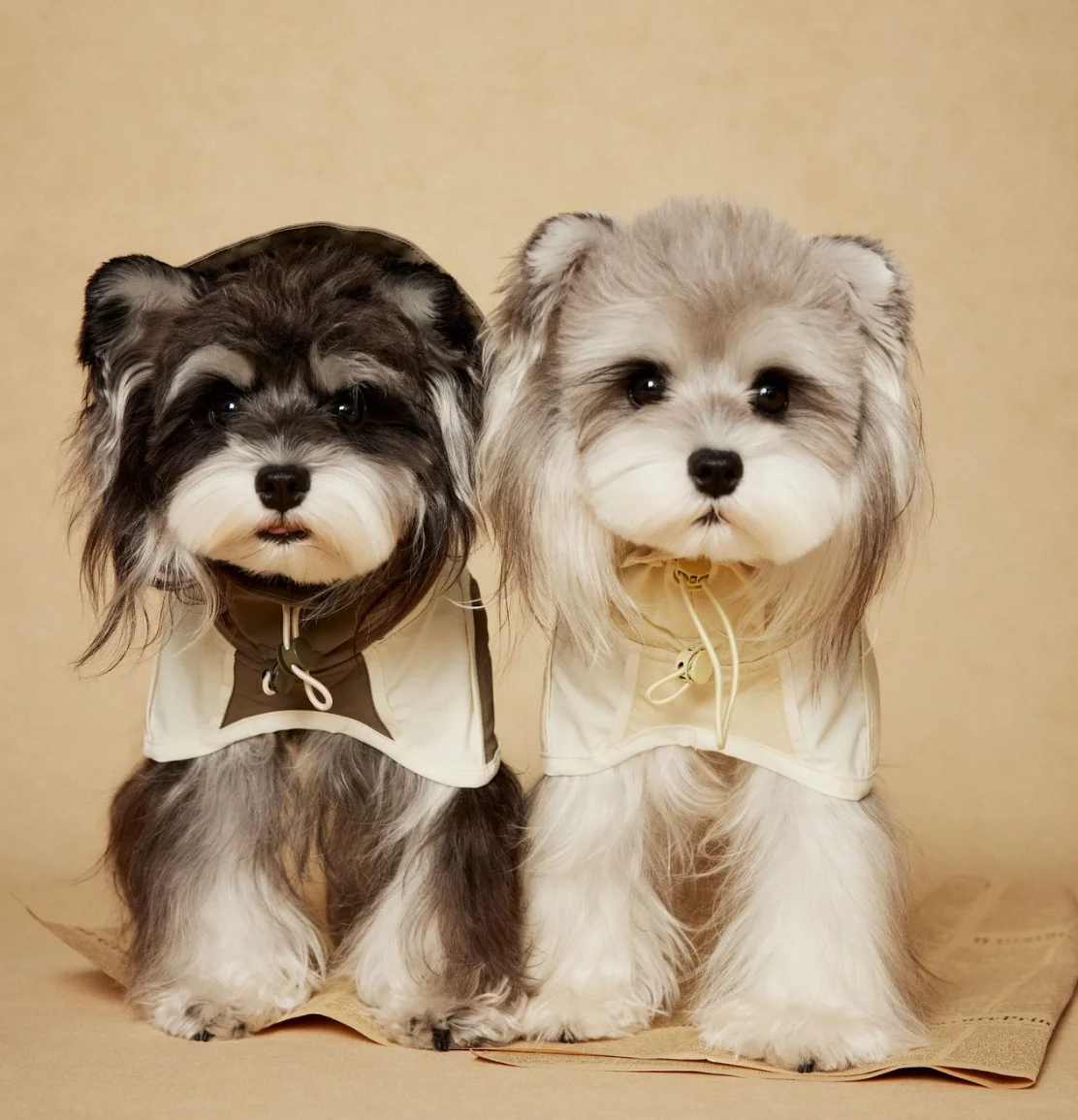 

Водонепроницаемая накидка-дождевик для собак - ветрозащитный плащ с капюшоном для маленьких собак: шнауцеров, пуделей