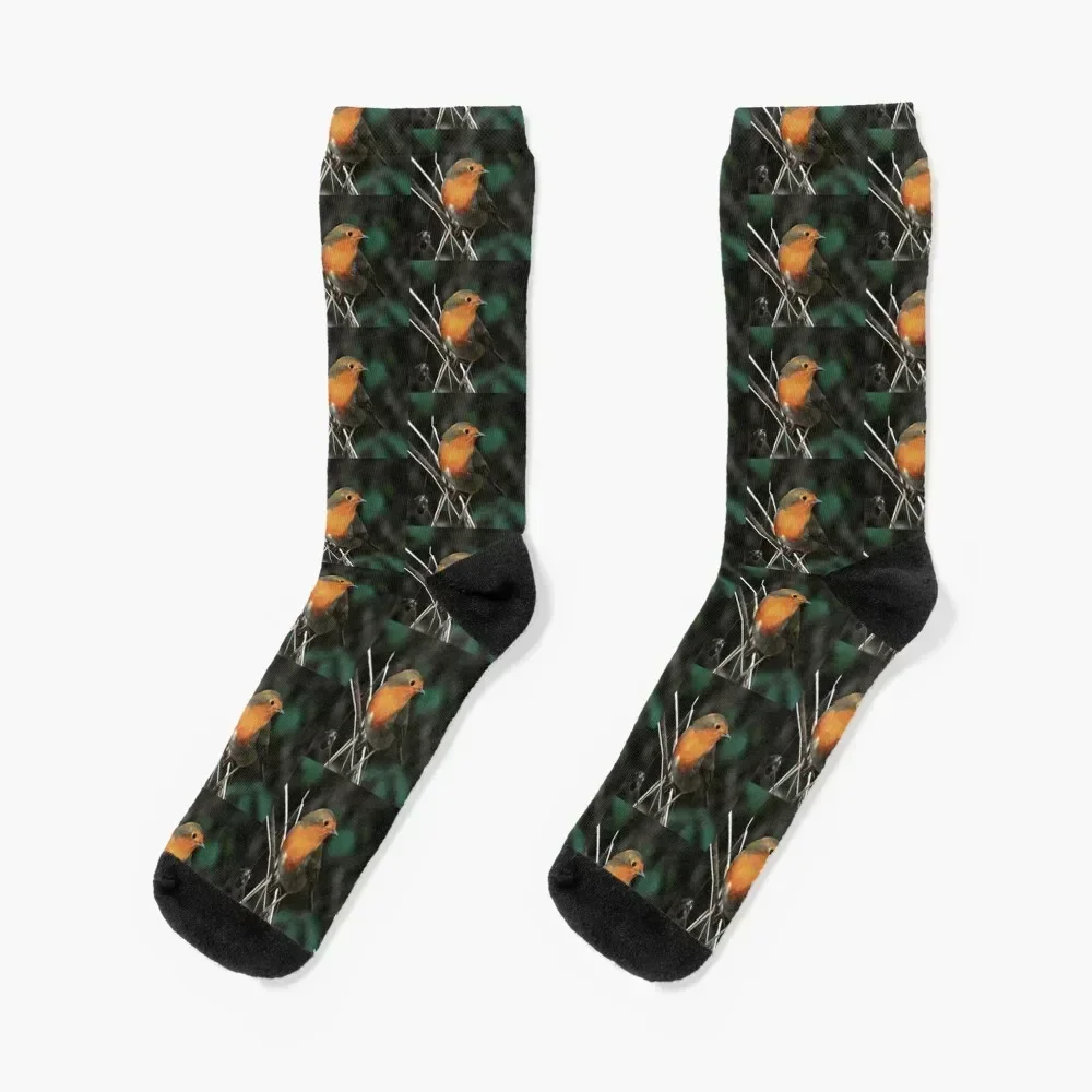 

Robin Being Bright On A Dull Day Acrylic Art Socks luxury hiphop sports and leisure cartoon Man Socks Women's