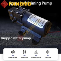 Dc 12V High Pressure Diaphragm Pump 120PSI 60W 5L/Min Mini Electric Self-priming Pump Water Washing Machine Pesticide Spraying