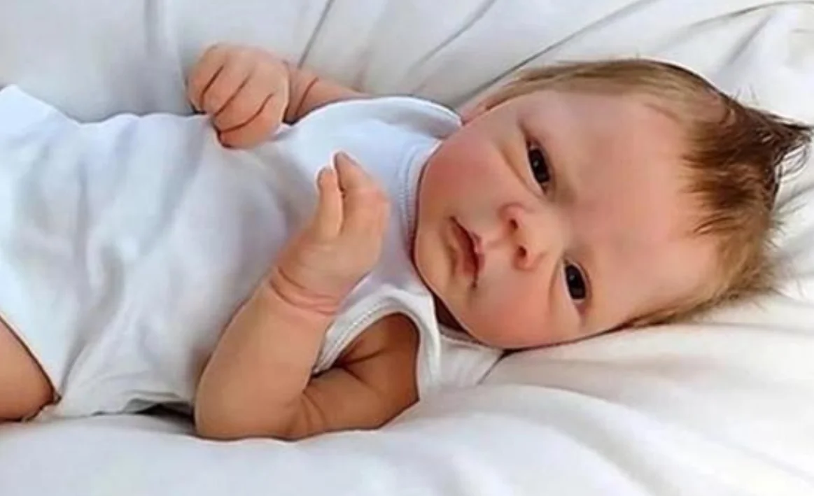 Muñecas Reborn 48 CM Full Body Soft Silicone Toddler Doll Lifelike Real Touch High Quality Doll Christmas Gifts Toy for Children view 5