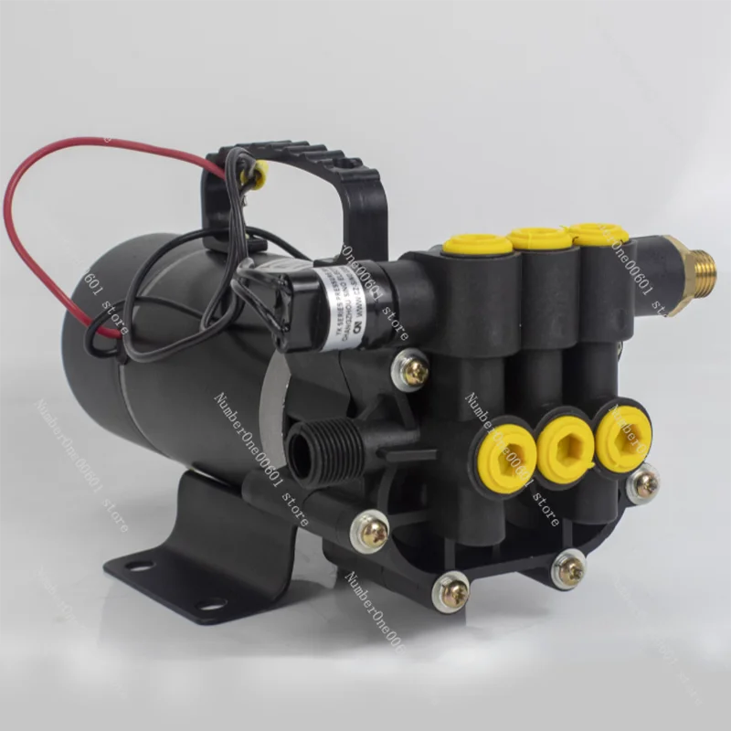 

12V pesticide high pressure pump, high power pump, pump, portable type