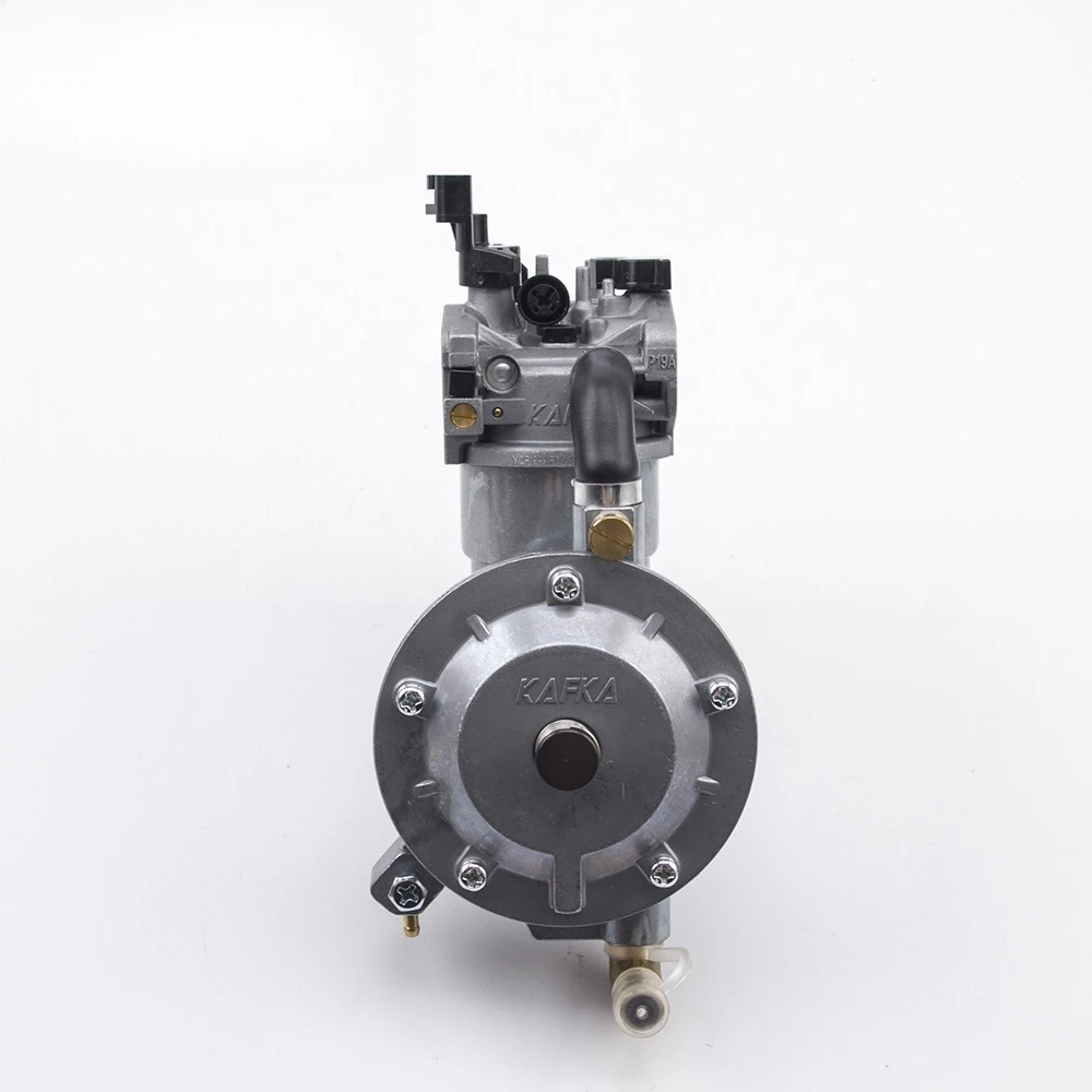 YQP19A-LPG Dual Fuel High Quality Carburetor 168F 170F Generator Boutique Carburetor 2KW