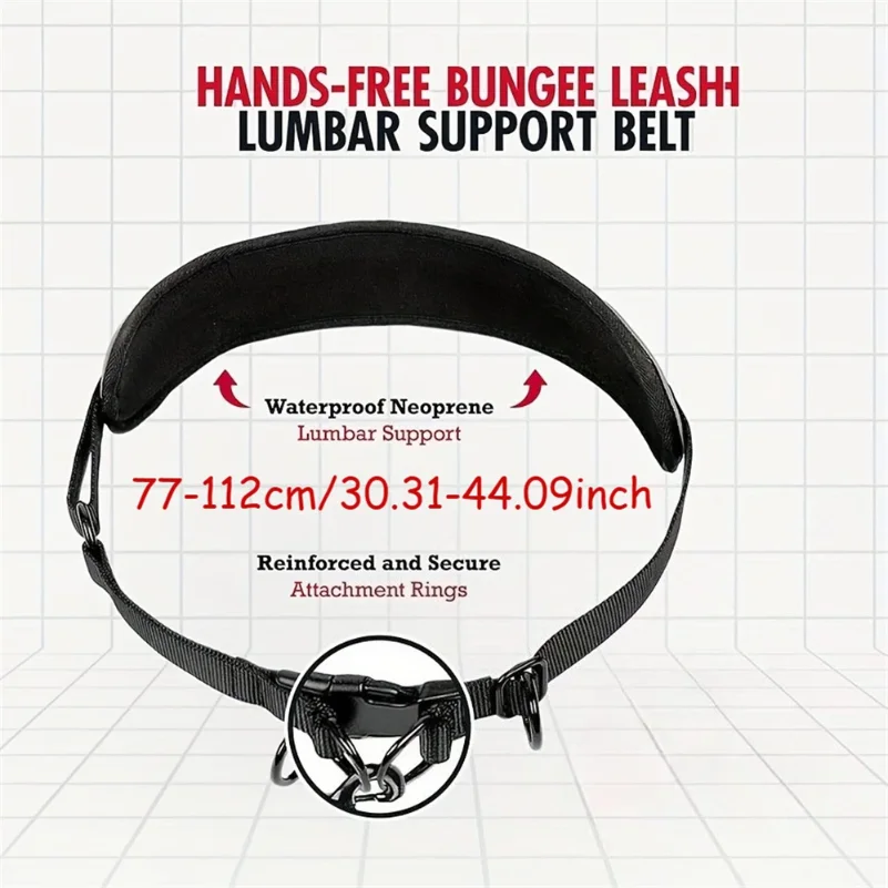 Hands Free Dog Leash Dog Waist Leash With Lumbar Support Belt Multifunctional Extendable Dog Leash Reflective Bungee Leash Black_voghion.com