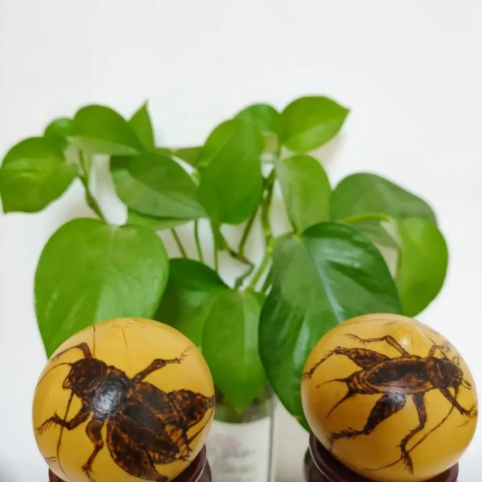 Ремесленный орнамент из тыквы