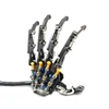 Main de Robot 5 DOF avec 5 Doigts Servo-Commande Stores Paume Bionique Droite pour ArduISA, Kit de Bricolage, Pince Programmable 3