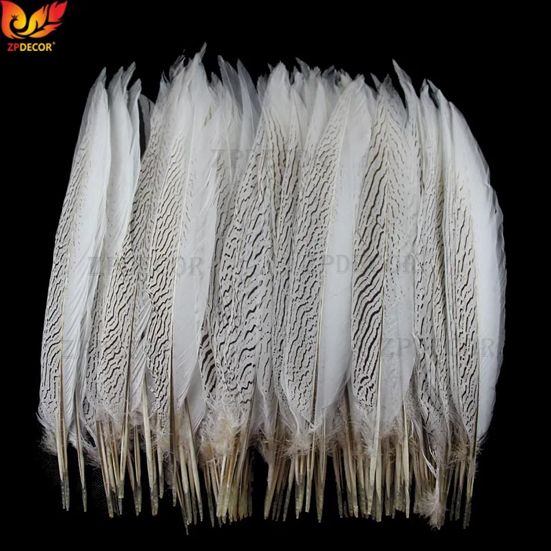 

40-45 CM/16-18 Inch Silver Pheasant Tail Feathers Color can be custom