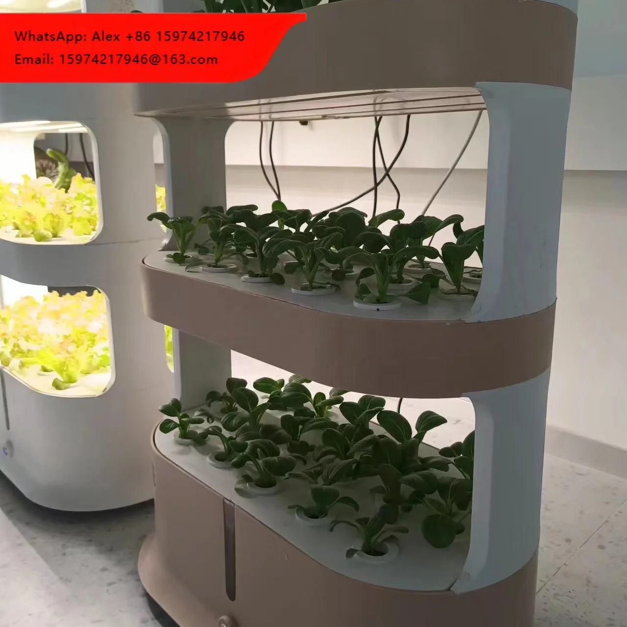 Wholesale Indoor Hydroponic Shelf Wholesale Vertical Growing System House Vegetable Planting