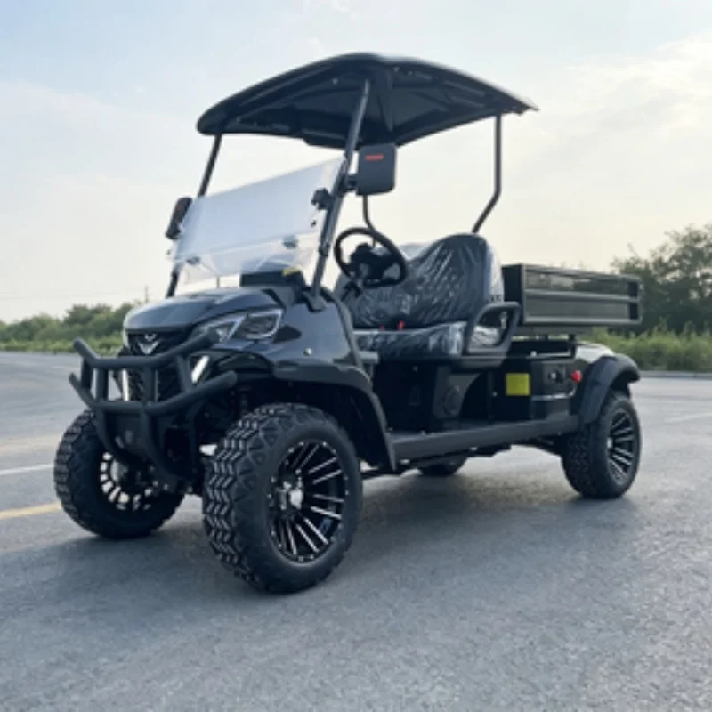VIP Honoured Guest Golf Cart Street Legal Lithium Adult Sale 2 Seater Electric Golf Cart Bumper Off-Road Tires Rear Cargo Box