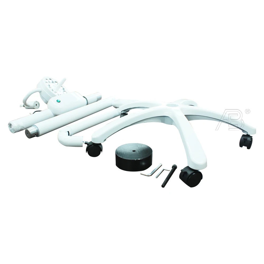Wall Mounted 30W Oral Sensor Surgery LED Operating Lamp for Dentistry Implant Wall-Mounted LED Examination Lamp