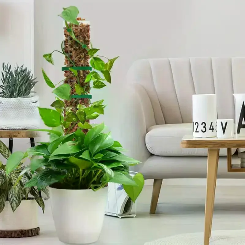 Moss Pole Plastic Plant Stand Indoor Climbing Plants Pot Moss Stick For Plants Growth Garden Support Accessories