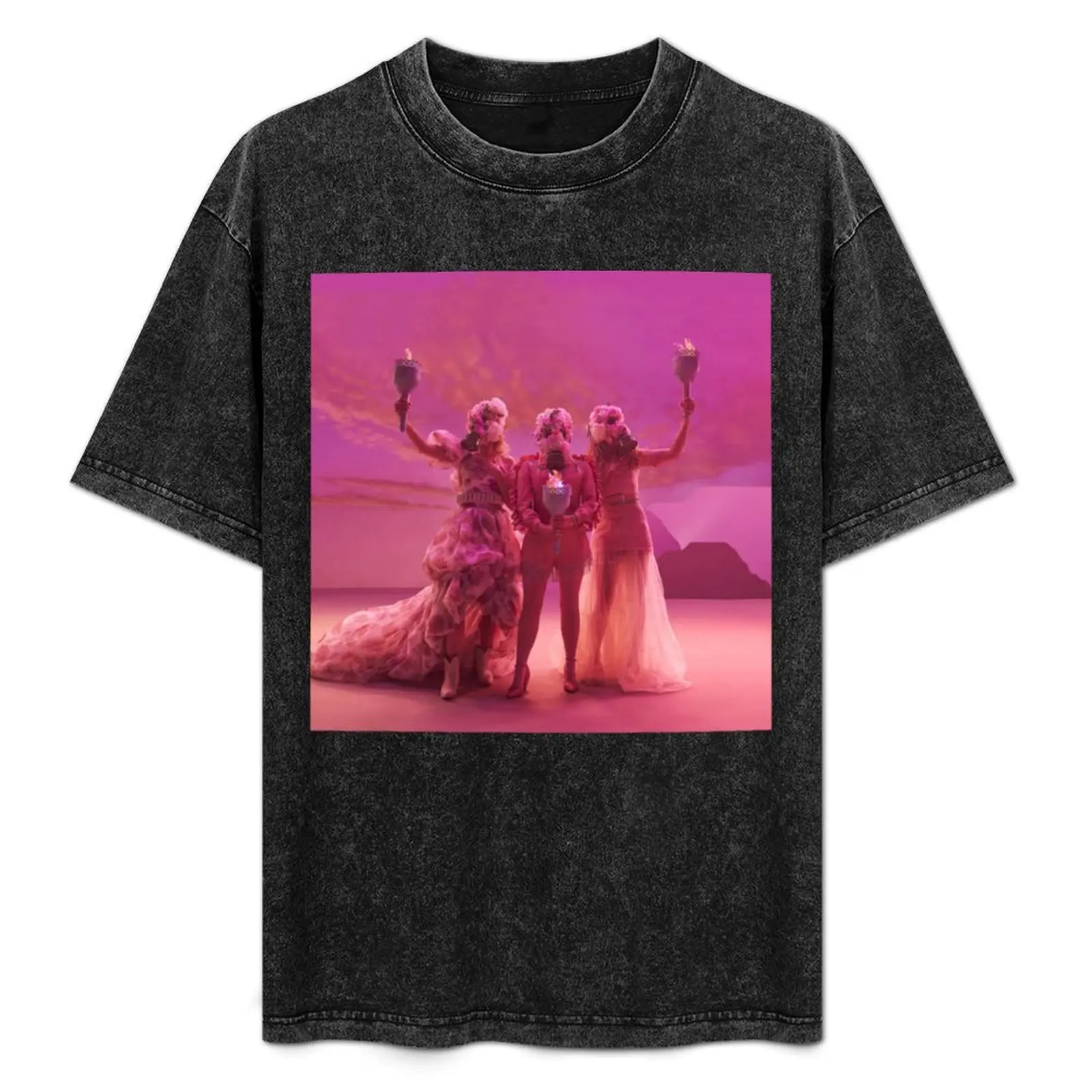 

Dixie Chicks 1 warroe T-Shirt Soft Basic Cotton Short Sleeve Tee