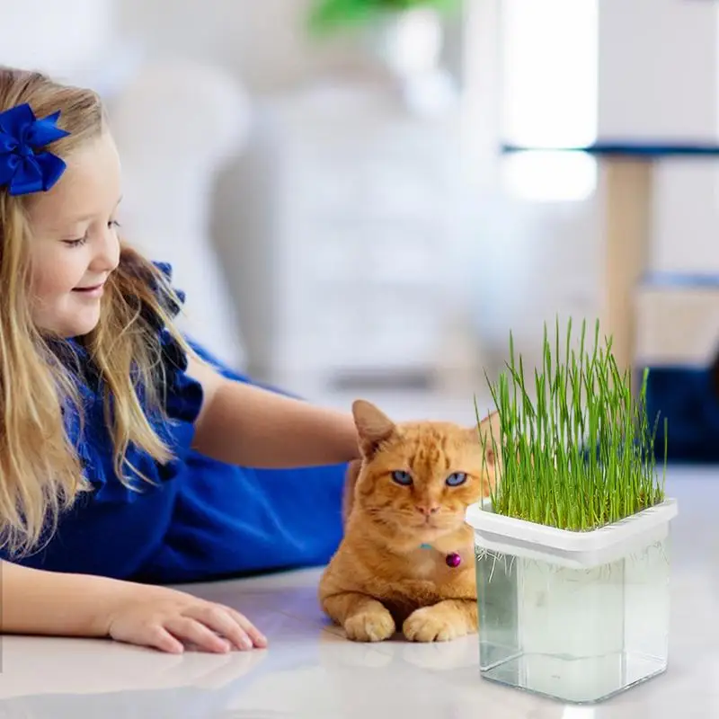 Cat Grass Planter Hydroponic Cat Grass Sprouting Trays For Sprouts Hydroponic Cat Grass Planter Tray Transparent Sprouting Trays