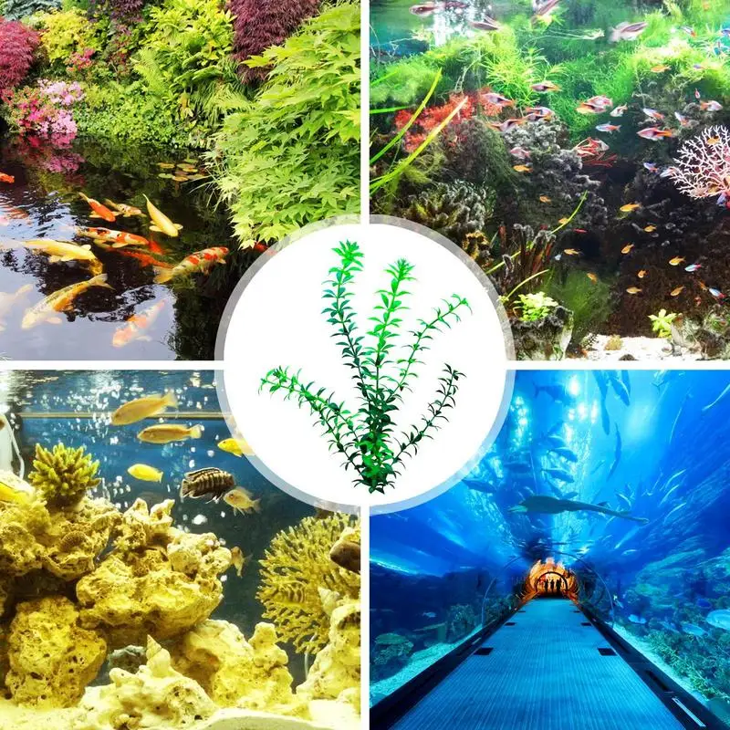 Plantes Artificielles Précieuses pour Aquarium, Décoration de Paysage