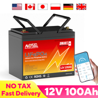 12V 100Ah LiFePo4 Battery Pack Bluetooth Lithium Iron Phosphate Batteries Deep Cycle Rechargeable for Solar Boat Home RV Camper