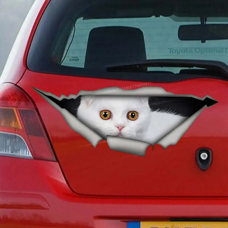Grey scottish Cat Car Sticker Waterproof Vinyl Decal on Bumper Rear Window Laptop Self-adhesive Decal For Car Accessories SH226