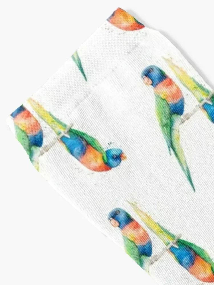 Rainbow Lorikeets Socks cute custom Novelties hip hop Man Socks Women's