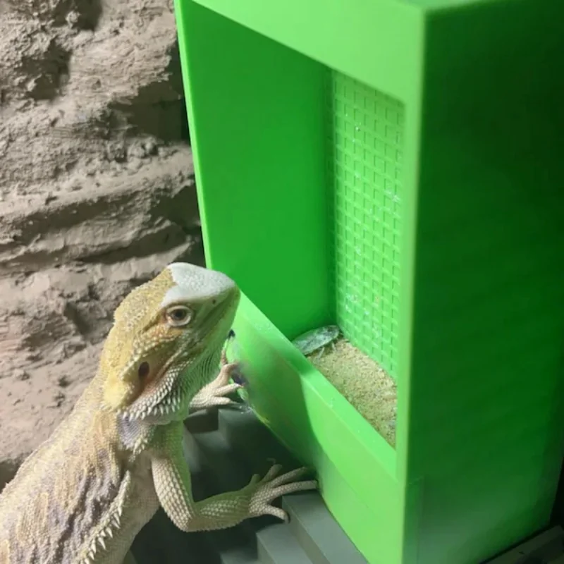 Lizard gecko and other reptile feeders, feeding box decoration, 3D PLA environmentally friendly and safe material printing