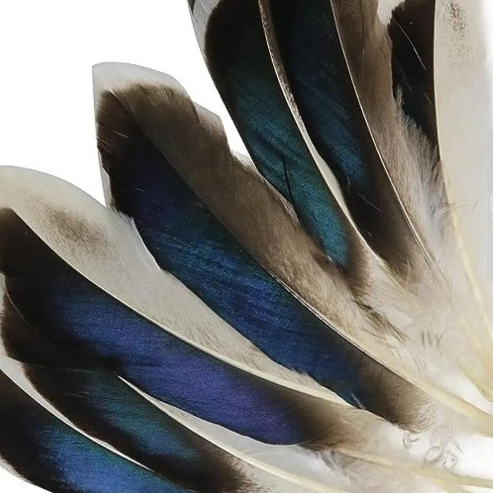 Premium Artificial Feathers for Creative DIY Crafting Accessories Bulk Colorful Feathers for Carnival and Events