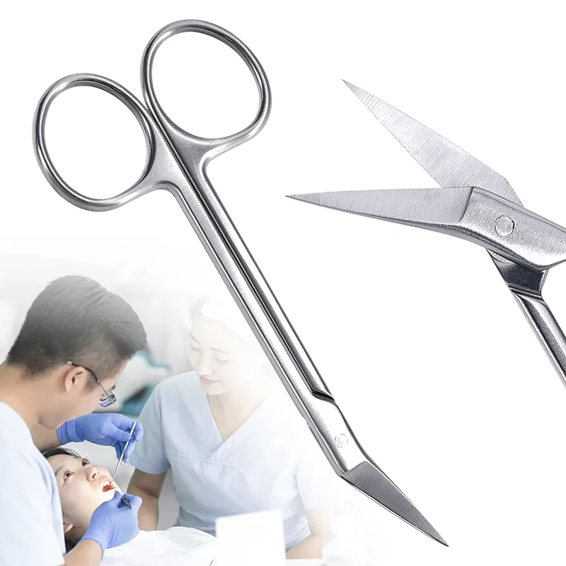 

Stainless Steel Medical Surgical Scissors Curved Tissue Scissor for Dental Ophthalmic Makeup Beauty Use Mini Scissors