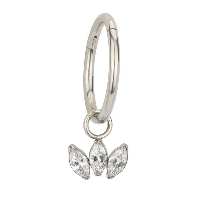 G23 Titanium Hinged Segment Hoop Earrings, CZ Paved Design