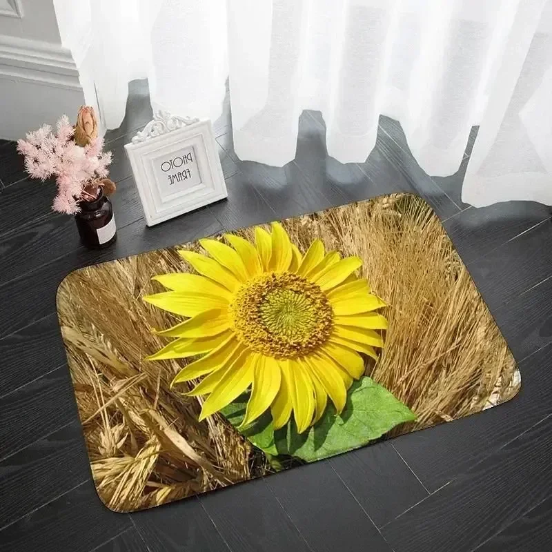 

Bathroom, Kitchen, Bedroom Door Mat, Absorbent Sponge Floor Mat LN1100