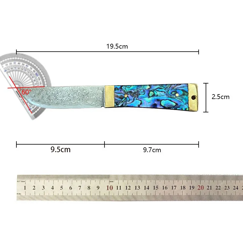 Abalone Handle Hunting Knife Fixed Sharp Damascus Steel Tactical Straight Knife Camping Knife Outdoor Survival Tools for Hunter