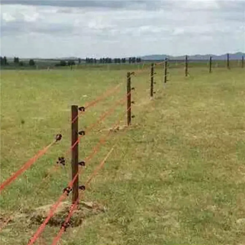 A19F-Plastic Electronic Fence Wire Tensioner Livestock Electric Fence Wire Portable Tape Tighteners For Farm Accessories 48Pc