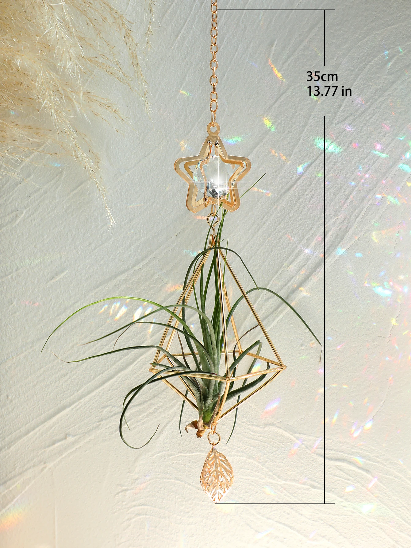 Garden Suncatchers Gold Hanging Air Plant Holder Tillandsia Air Plants Hanger Air Fern Display Planter with Crystal Home Decor