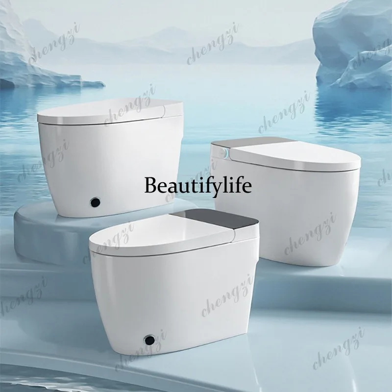 S178 light smart toilet initializing integrated cold water hip wash woman wash household toilet view 4