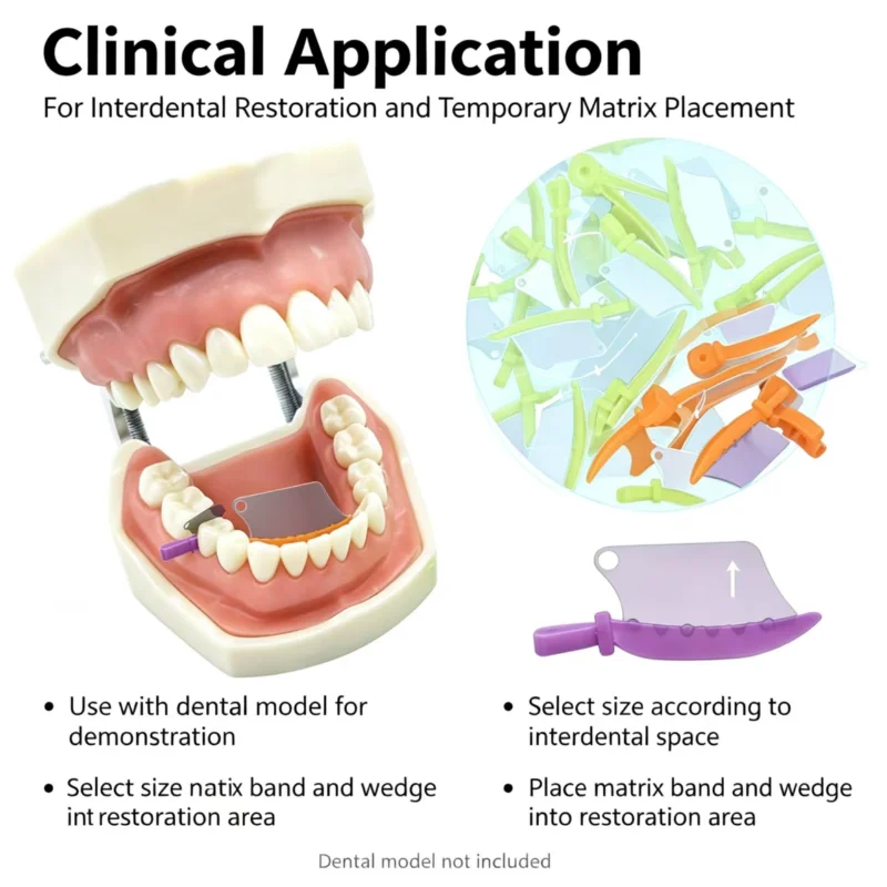 50Pcs/Box Dentistry Wedge Teeth Interproximal Plastic Fender Wedge With Protection Steel Matrix Protects Gingiva Blades Wedge