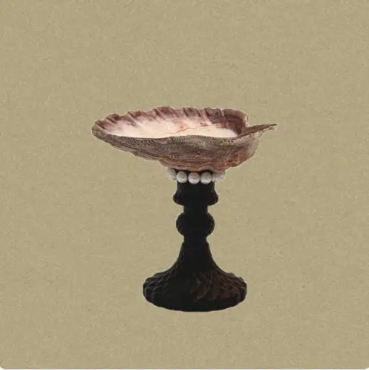 

Creative French shell tall foot light luxury lion claw shell decorative ornament relief natural conch incen