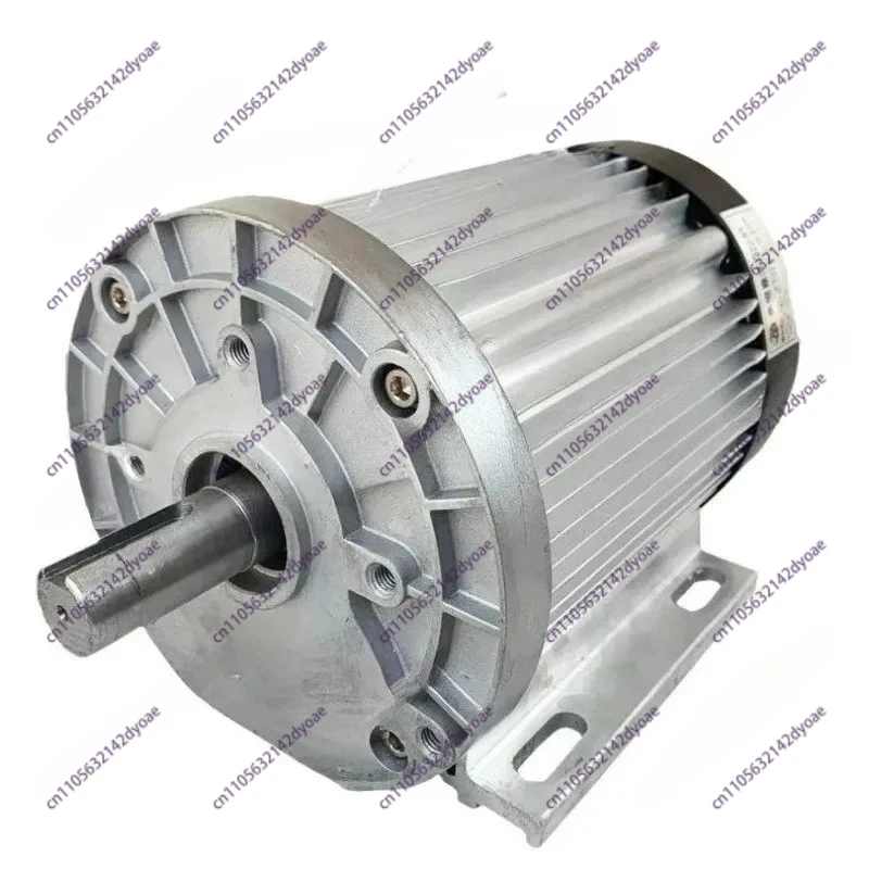 Suitable for Tricycle Electric Vehicle DC Motor,Chain Brushless Generator