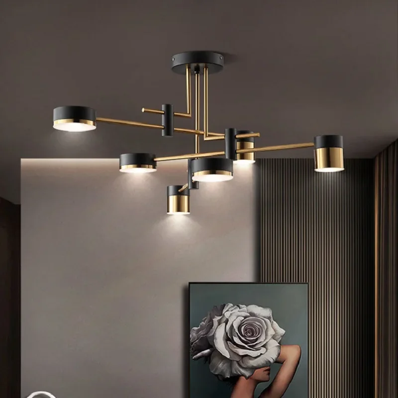 

Nordic Modern Designer Ceiling Lamp Minimalist Art Living Room Restaurant Light Luxury Dining Room Parlor Bedroom Kitchen Study