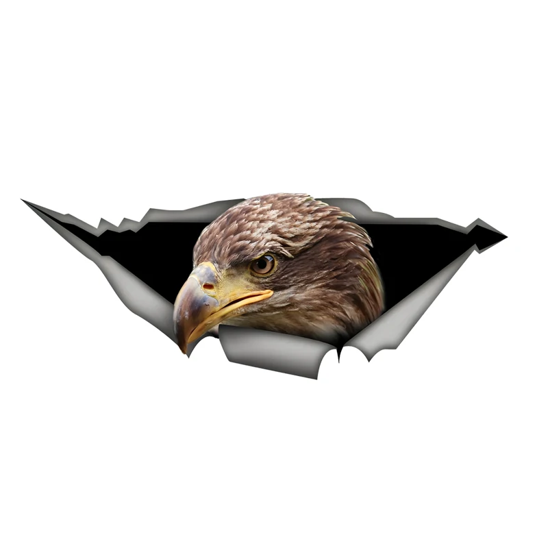 DK515# Eagle Car Stickers Scratch Blocking Self-Adhesive Waterproof Decal, Used for Car, Laptop, Motorcycle, Van, RV