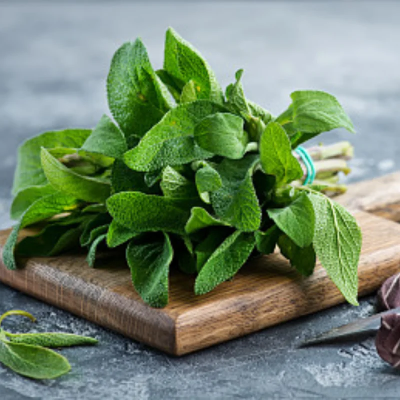 

Бесщеточный бессенсорный двигатель 3674/3660/3650 4-полюсный для 1:8 1:10 WLtoys HSP Tamiya Trxs GTR RC внедорожные гоночные багги-автомобили