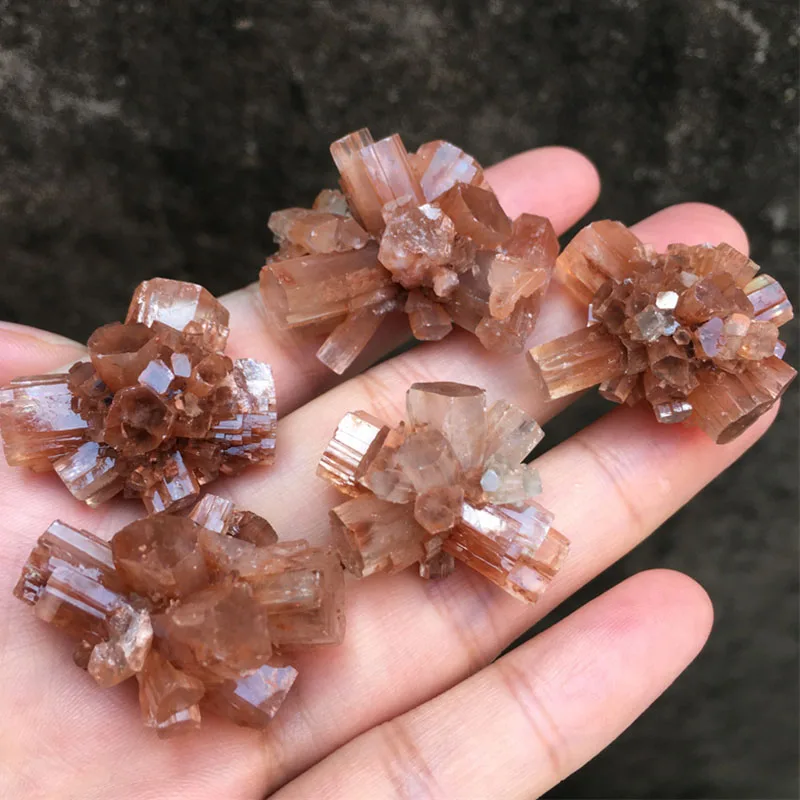 3-6pcs Small 100% Natural Brown Aragonite Crystal Cluster Rough Mineral Specimen Healing Crystal Teaching Home Decor Collection
