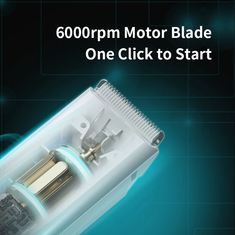 Thumbnail 4 - #31 Trending Cat Grooming Right Now