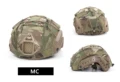 Sf1-MC