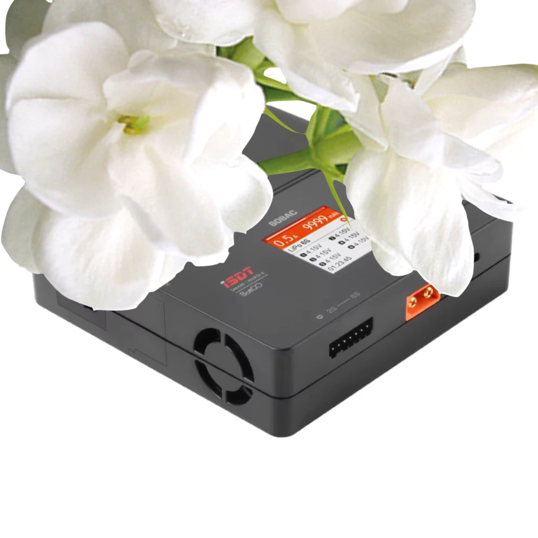 ISDT 608AC AC 60W DC 200W 8A BattGo Smart Battery Charger Discharger with Detachable Power Supply
