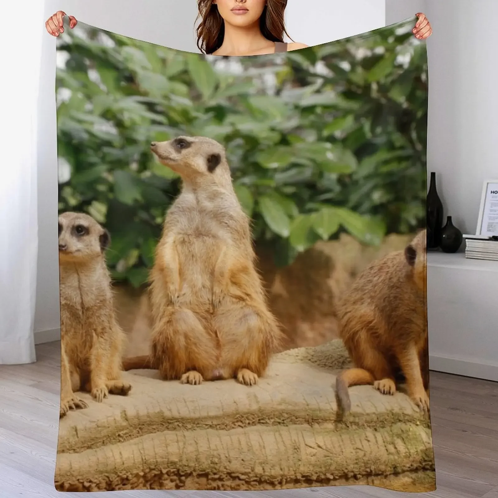 Meerkat 008 Throw Blanket Cozy Throw Blanket Birthday Gift for Him Her