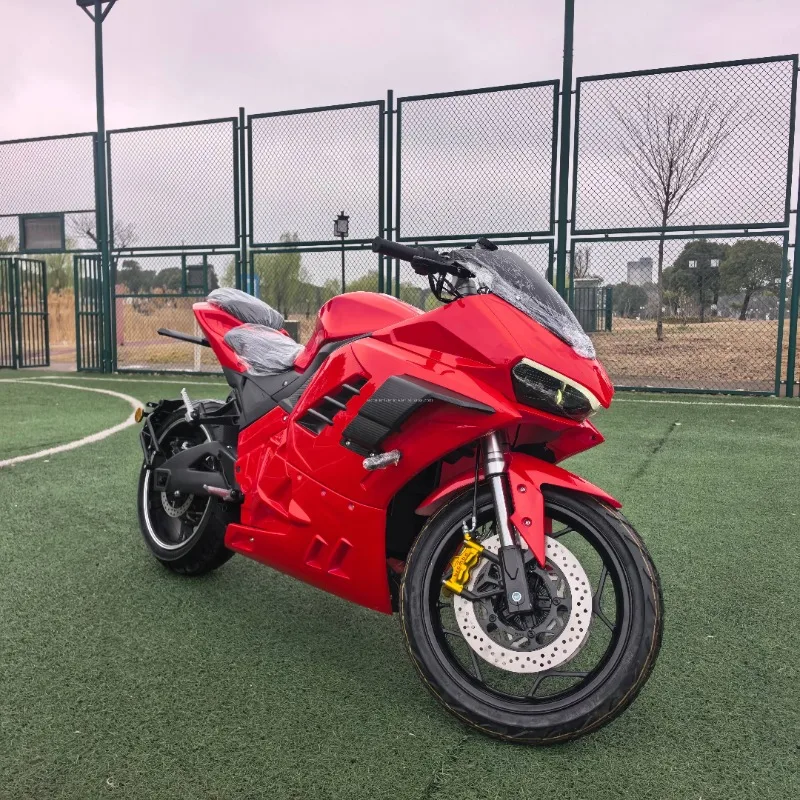 STLF Adult Racing Electric Motorcycle with 120km/h Max Speed 72V Lithium Battery & Super Long Range