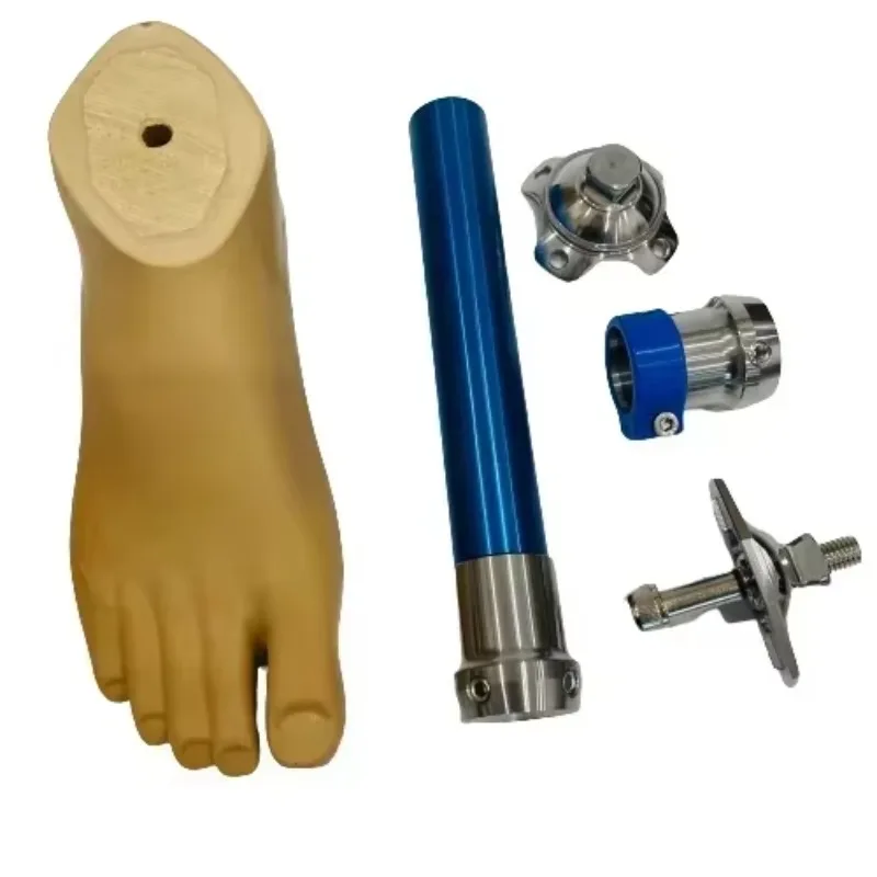 عرض ساخن لعام 2025 أجزاء الساق الاصطناعية للأطراف الاصطناعية تحت الركبة (يرجى ملاحظة كم سنتيمتر من طول القدم