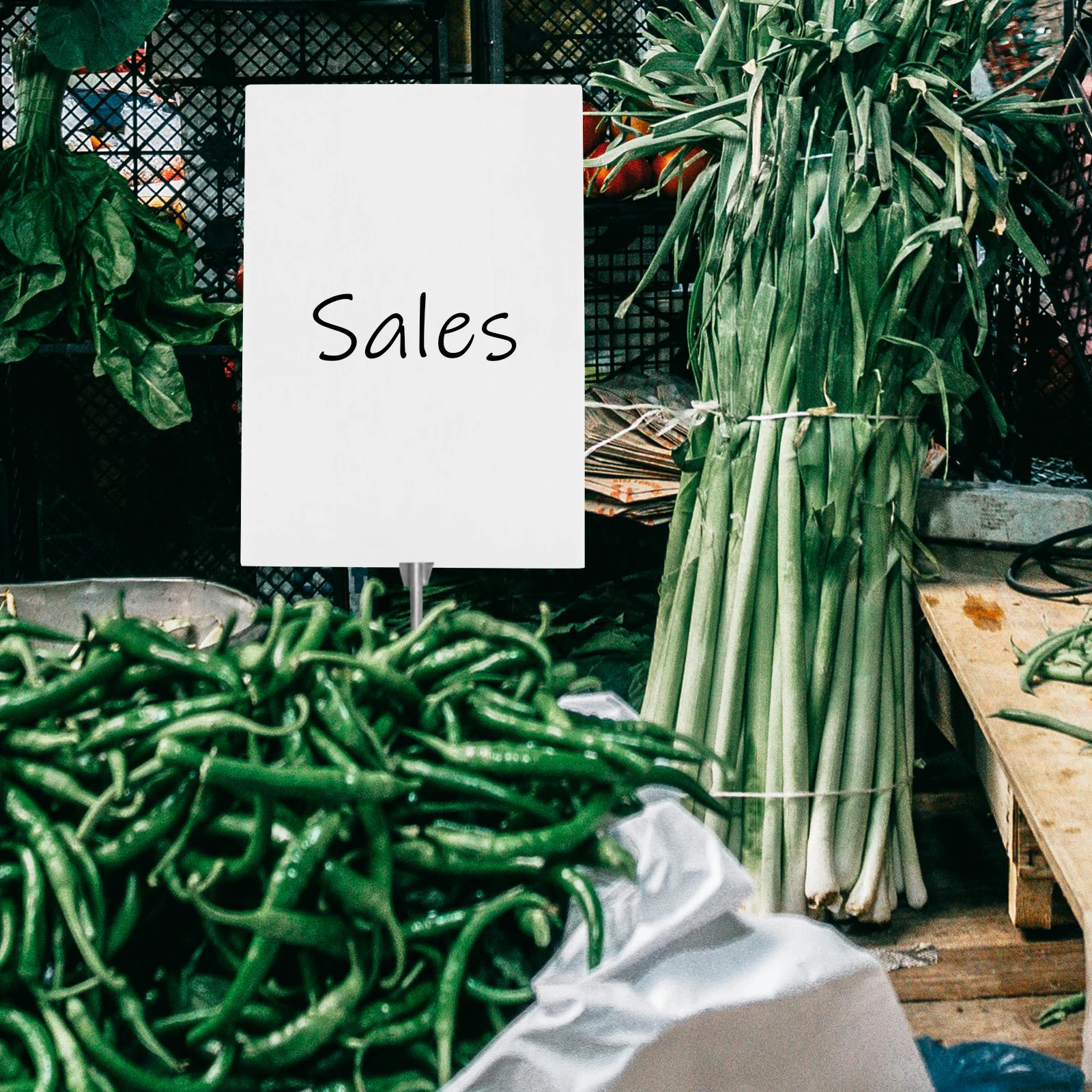 

10pcs Sponge Paper Board Art Display Board 27X38Cm Reusable Portable Lightweight Sheets For School Projects Scrapbooking Foam