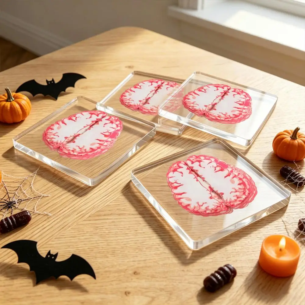 Universal Size Square Coasters for Mugs 4pcs Maple Leaf Squirrel Acrylic Coasters Double-sided Reversible for Coffee for Coffee