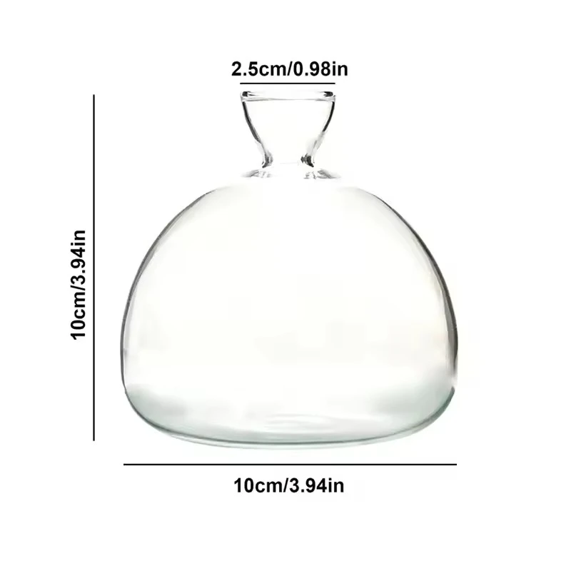 Vase en verre pour semis d'avocat, kit de culture d'avocat, pot de germination pour la maison, cadea