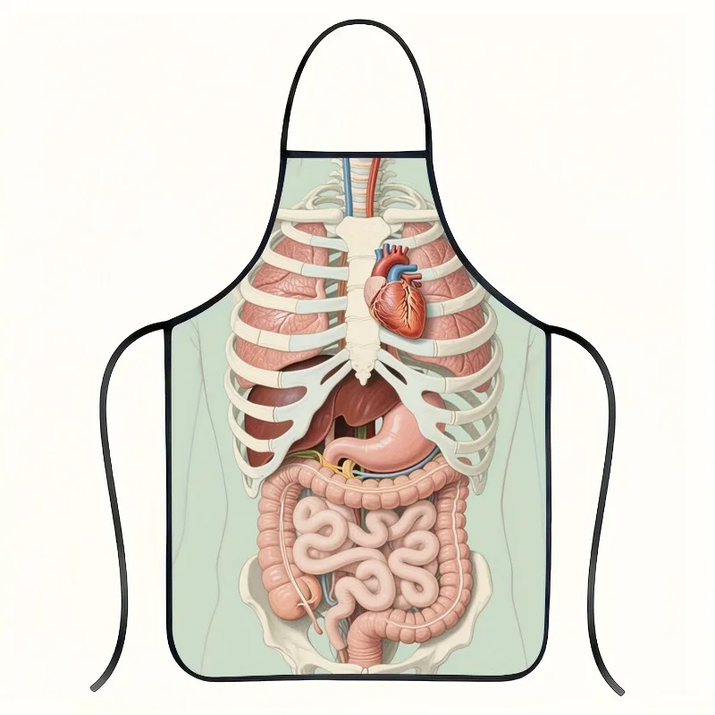 1pc Human Organ Anatomy Print Apron - Fashionable Design, Polyester, Perfect Fun for Home, Kitchen, Baking, And Work