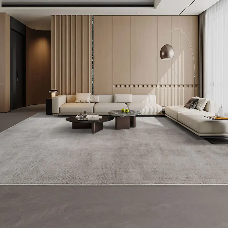 سجاد حديث بسيط لغرفة المعيشة رمادي فاخر لديكور غرفة النوم سجادة منفوشة ناعمة من القطيفة سجادة دراسة منزلية قابلة للغسل #4