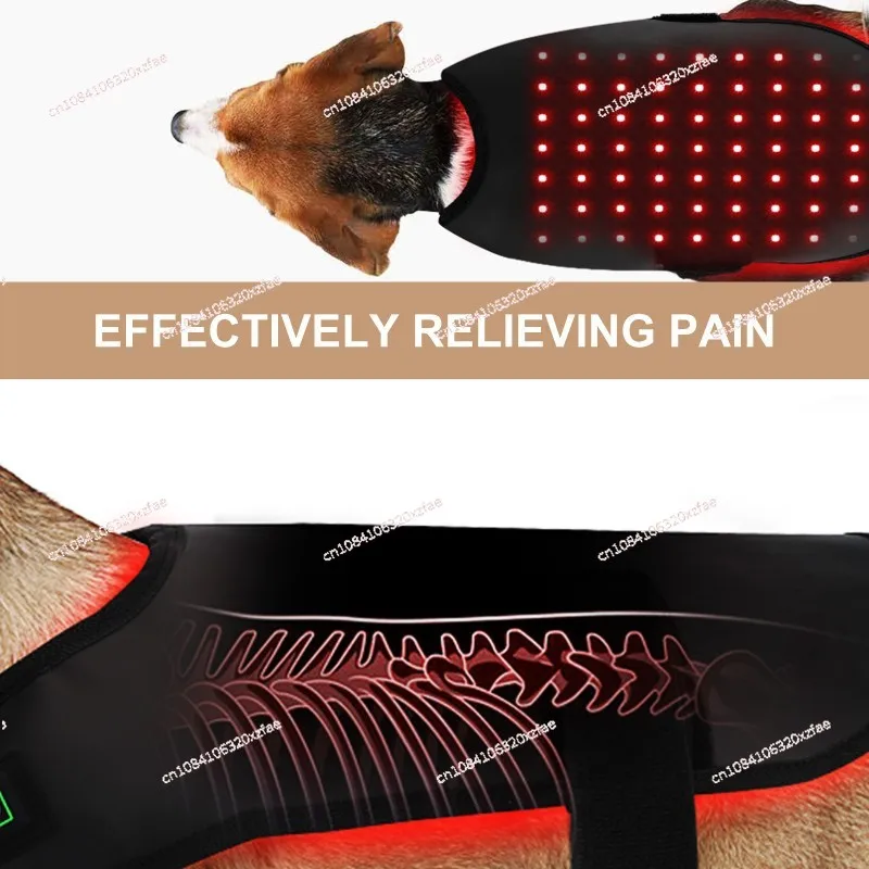 Small Pet Red Light Infrared Physiotherapy Instrument, Cat and Dog, Back and Abdomen Injury Recovery, Fracture Healing